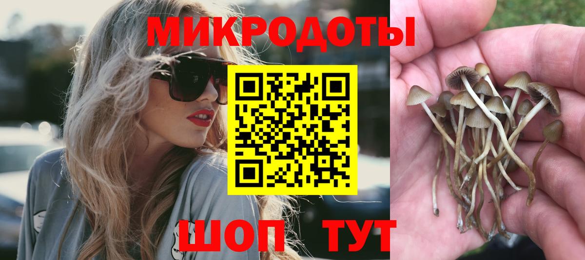 Псилоцибиновые грибы GOLDEN TEACHER  Вход с VPN  Новотроицк 