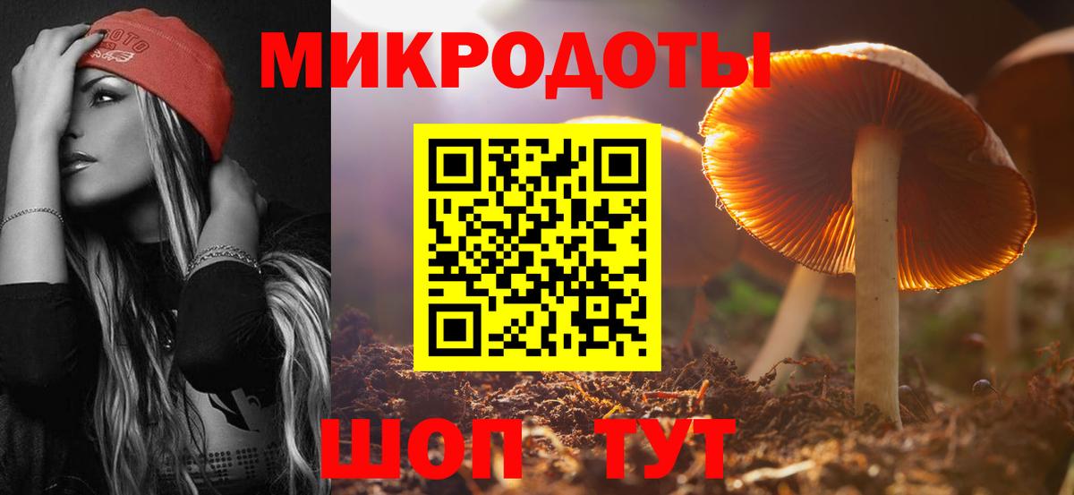 Псилоцибиновые грибы прущие грибы Новотроицк